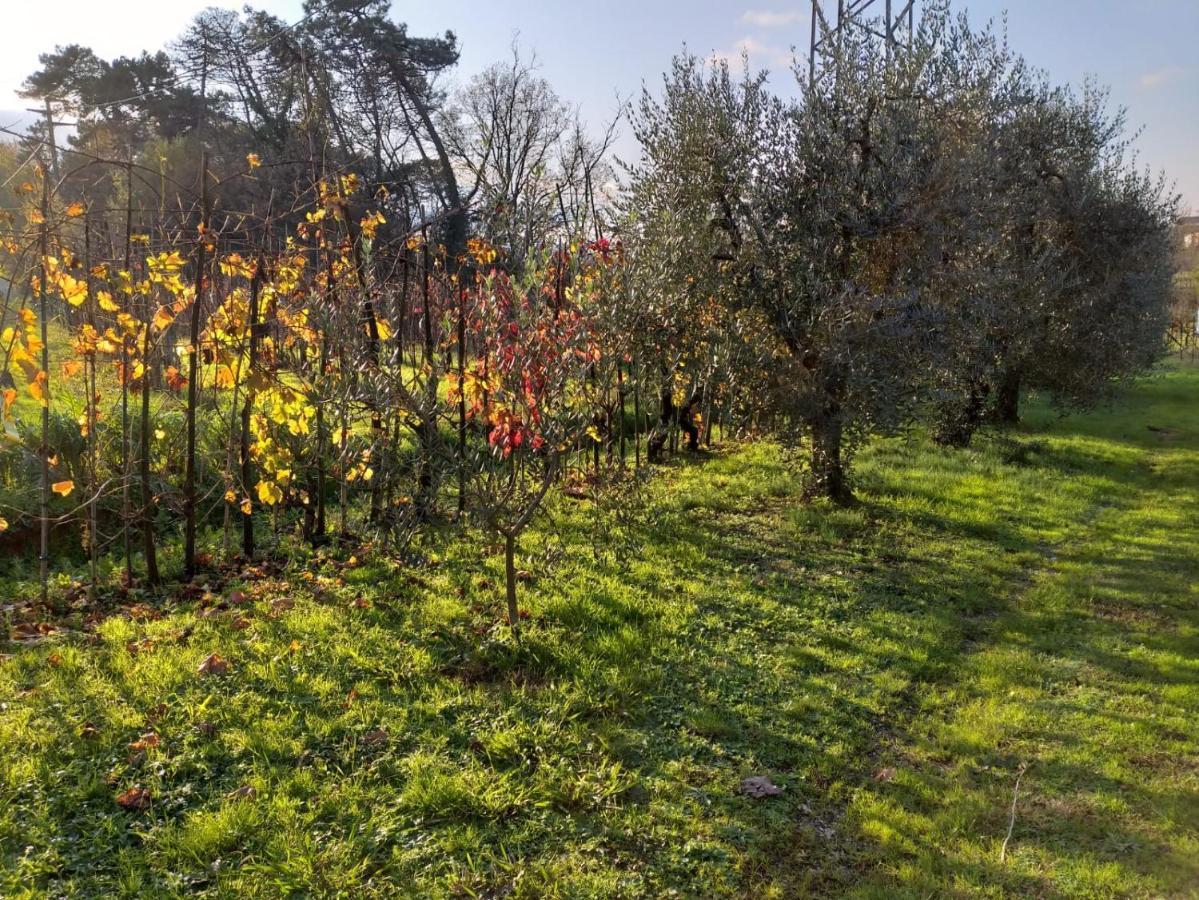 Villa Casa La Fonte Altopascio Esterno foto